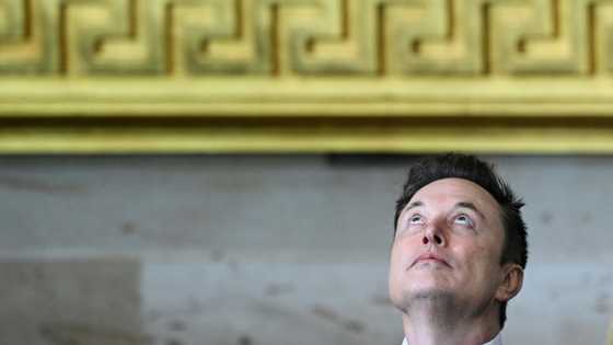 US Treasury says Musk team has 'read-only' access to payments data