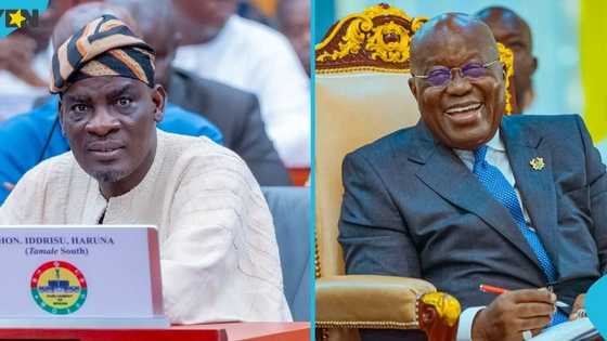 Haruna Iddrisu recounts how NDC deliberately punished Akufo-Addo with MMDCE election agenda