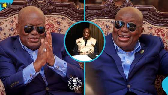 Former Ghanaian President Nana Akufo-Addo appointed Commonwealth observer in Bangladesh