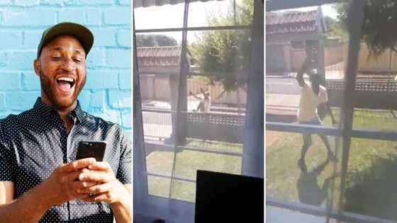 Hard guy: Robber waves after being caught attempting to break into house; video stirs hilarious reactions