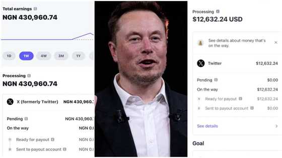 "Have 15m impressions": Twitter lists ways Nigerians can qualify for Elon Musk dollars