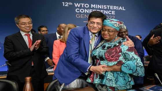 WTO strikes landmark deals package after marathon talks