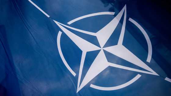 UK to remain 'bedrock' of NATO, Sunak declares