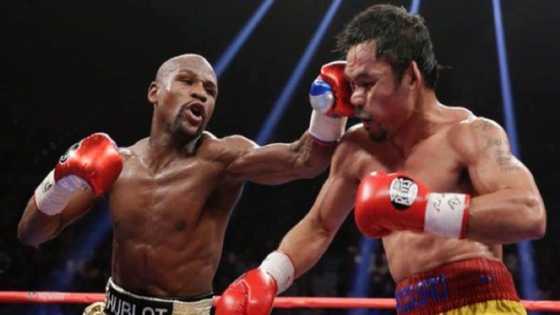 Floyd Mayweather vs Logan Paul Exhibition Fight Set for 6 June