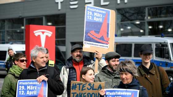 Tesla sales fall again in Germany amid Musk backlash