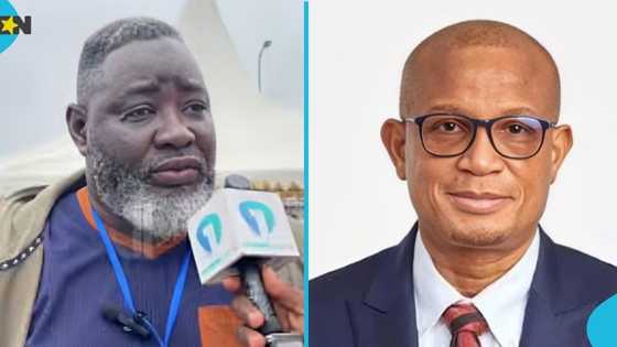 Alhaji Masawudu slams Dr Mustapha Hamid over NPP vice chairmanship bid: "He's arrogant"