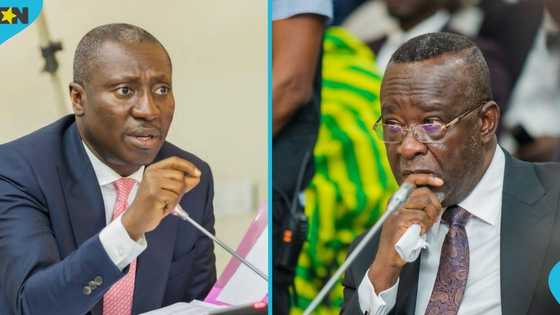 Minority members on Appointment Committee boycott Chief Justice nominee vetting