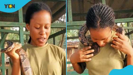 Lady at Shai Hills Resource Reserve plays with python in video, asks viewers to come and try it