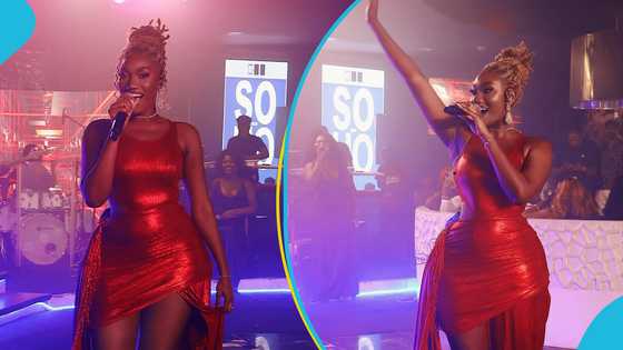 Wendy Shay goes viral with her impeccable performance at her One Night Stand concert