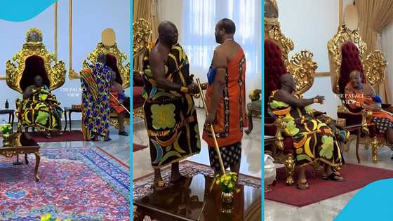 King Mswati III of Eswatini meets Otumfuo Osei Tutu at Manhyia, video evokes joy