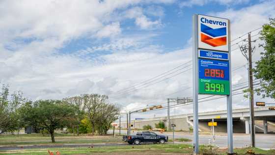 US consumer inflation slows in November but pressures remain