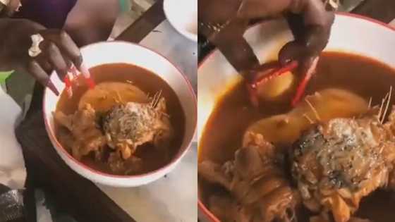 Hilarious video goes viral as 'slay queen' with long nails battles with fufu like world cup finals