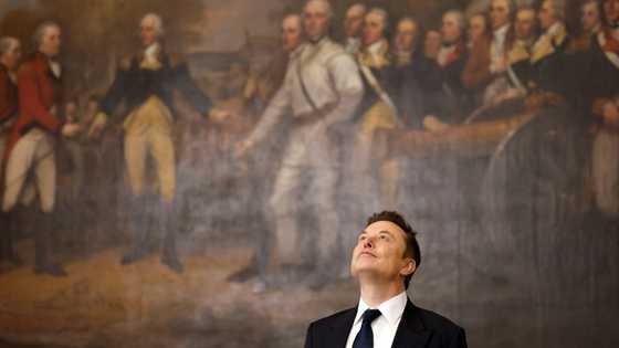 Musk risks putting EU buyers off Tesla: analysts