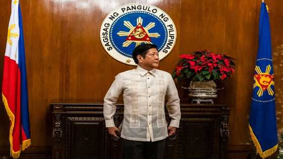 Philippine lawmakers propose $4.9 bn sovereign wealth fund chaired by Marcos