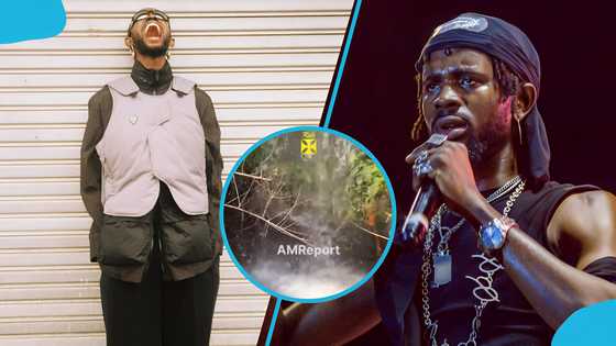 Black Sherif in awe after spotting a waterfall in his producer Samsney's farm, video