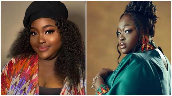 Roselyn Ngissah marks her birthday in blue-green outfit, McBrown, Juliet Ibrahim, others celebrate her