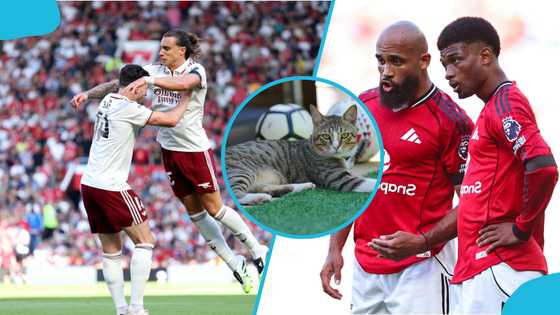 Oracle cat tips Arsenal to beat Manchester United in EPL clash (Video)