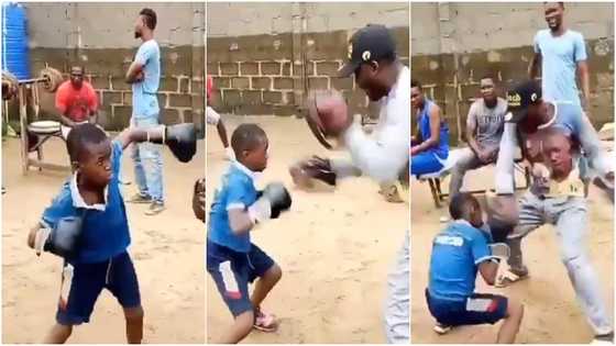 Little boy with potential in boxing warms hearts with amazing jabs, displays skills with speed of light (video)