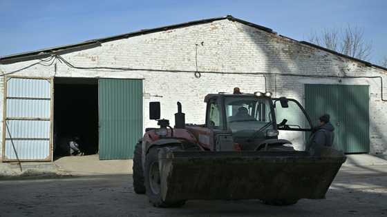 'Can't sell': the Polish blockade, another blow for Ukraine's farmers