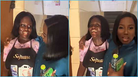 Diana Hamilton delights as she meets her lookalike in Kumasi, vibes with her, Ghanaians react