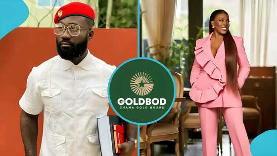 Okatakyie Afrifa jabs NDC foot soldiers over Goldbod and Women of Valour saga