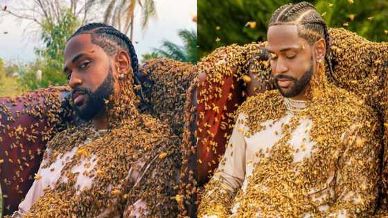 Big Sean: Rapper Covered with 65,000 Bees while Shooting Music Video