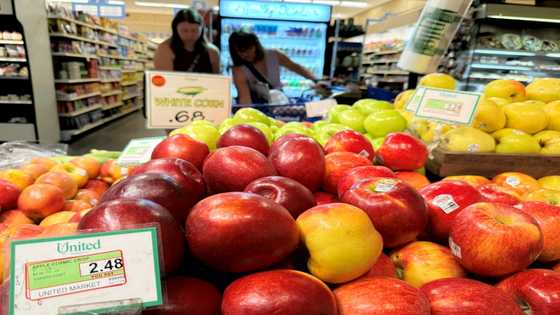US Fed's favored inflation measure cools slightly in May