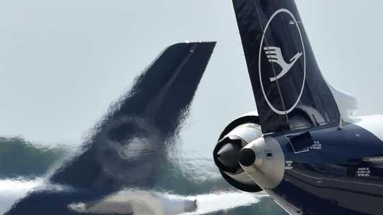 European airlines hit by 'greenwashing' complaint