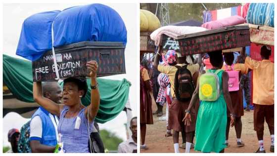 Free SHS will worsen the decline of education quality in Ghana – Prof Aryeetey fears