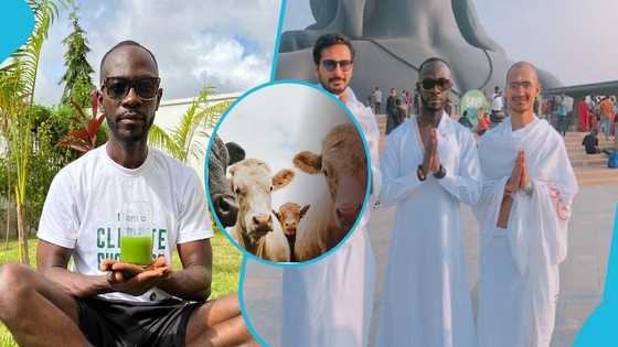 Okyeame Kwame shares regret eating meat earlier in his life
