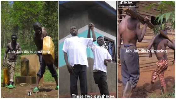 2 disabled brothers build house after 12 years, shows anything is possible