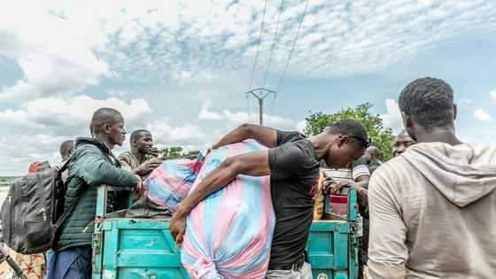 Niger-Benin border standoff deepens as trade collapse bites