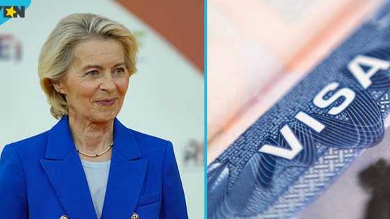 EU explains when foreign nationals should apply for Schengen visa