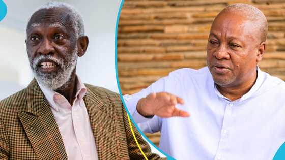 Prof Adei opposes calls for John Mahama to remove Chief Justice Torkonoo