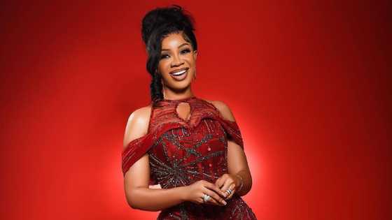 Who is Serwaa Amihere? Age, husband, family, child, tattoo, latest updates