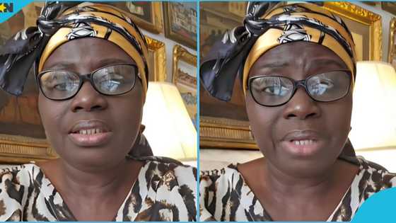 Ghanaian woman in the US begs fellow citizens not to quit their jobs for fear of being deported