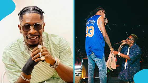 "Africa Mandiba": Shatta Wale teases new song about Vybz Kartel, excites fans with snippet