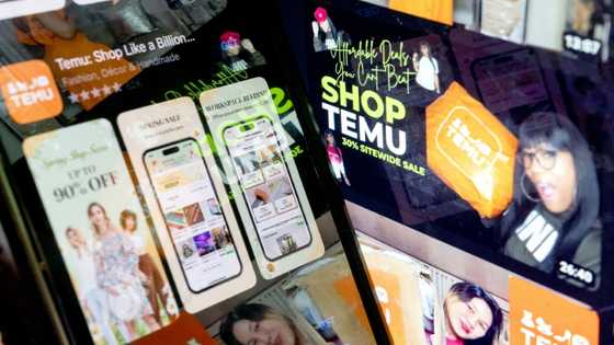 EU probes shopping app Temu over illegal products