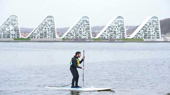 Denmark holds 'funeral' for a polluted fjord
