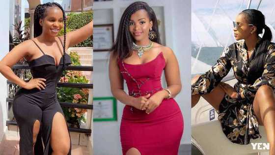 Benedicta Gafah opens up her body to the world without skirt in new photo; male fans beg her