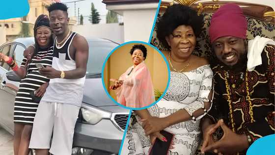 Shatta Wale's mother Mama Elsie looks gorgeous as she celebrates her 70th birthday in style, photos drop