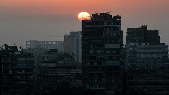 Blinken asks Egypt for rights progress before climate meet