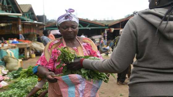 Kenya's 'mama mboga' pinning their hopes on the future president