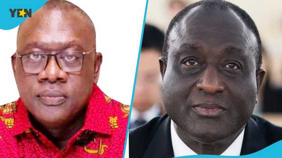 "NPP can stop Alan form going independent": Akufo-Addo's minister cites party's constitution