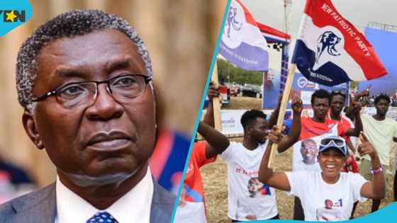 "This is not the real NPP, and I'm not part of it ": Prof Frimpong Boateng bemoans party decline