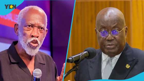 Prof. Stephen Adei takes aim at Akufo-Addo's leadership: "Corruption and arrogance"