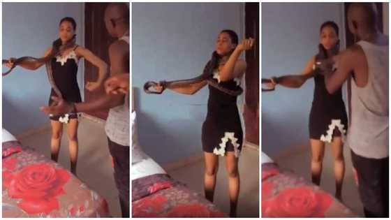 Actress Cries out During Movie Shoot as Live Snake Placed Around Her Neck Moves