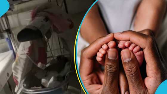 "This is not right": Dumsor threatening lives of babies on life support at Tema General Hospital