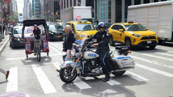 Top US executive shot dead in New York City: media