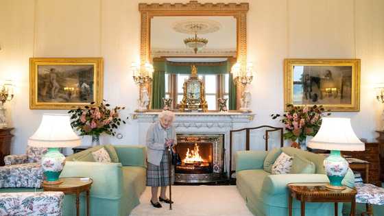 Queen calls off meeting after 'full day' for UK's new PM